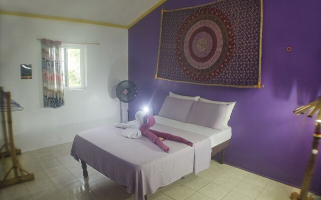Go Natural Jamaica Retreats