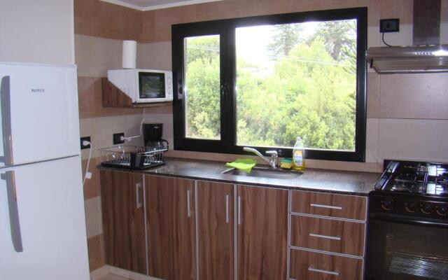 Apart LAR DEL PEHUEN