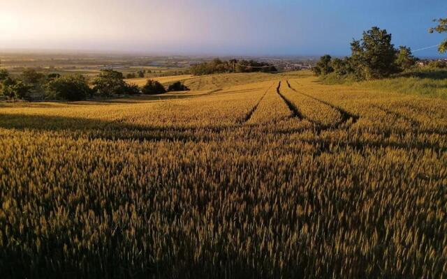 la Mafalda in Oltrepo