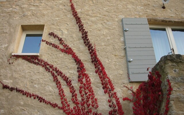 La Couleur des Vignes
