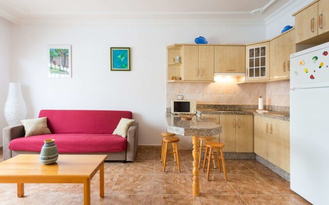 Live Arico Listada 3