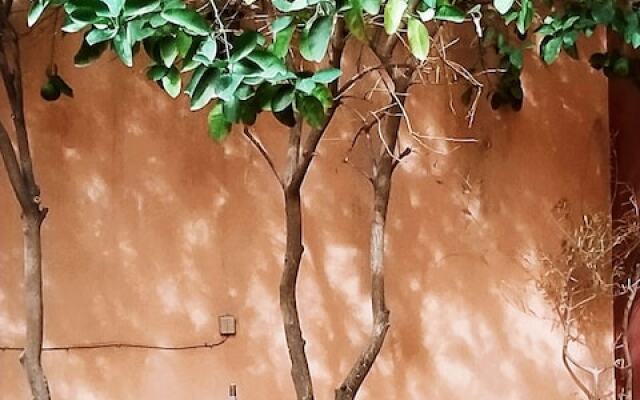 Le petit jardin Marrakech
