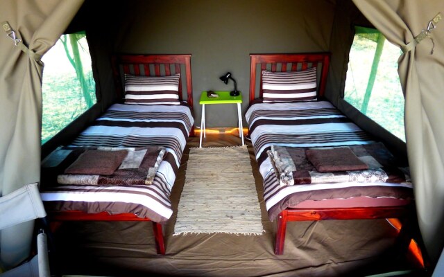 Thorn Tree Bush Camp