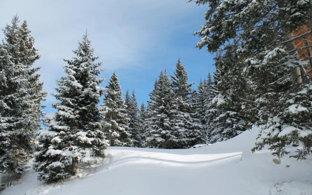 Chalet Almrausch