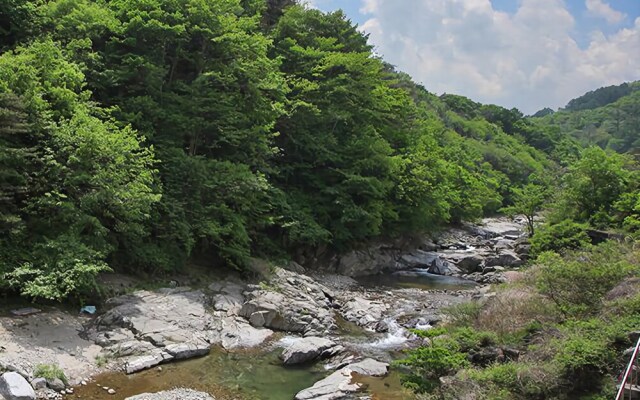 Seongju Green Narae Pension