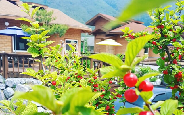 Yeongwol Wolgang Sanhachon Pension