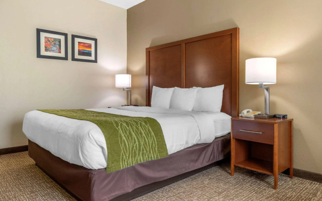 Comfort Inn Asheville Airport