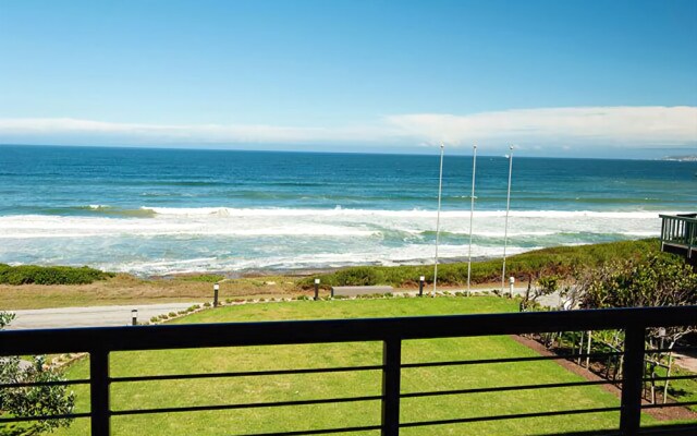 C the View
