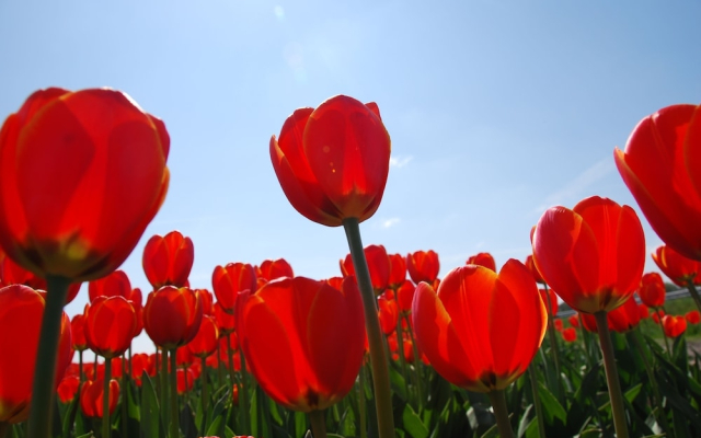 Van Der Valk Hotel Akersloot