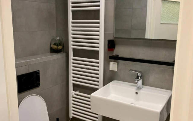 Wilde Moeflon, geniet van de vrije natuur!