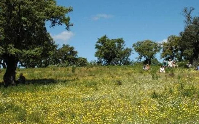 Hotel Rural la Posada de Alájar