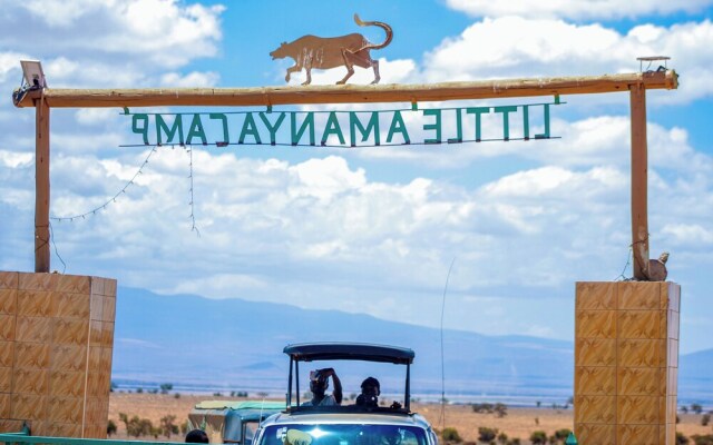 Amanya 1-bed Zebra Tent