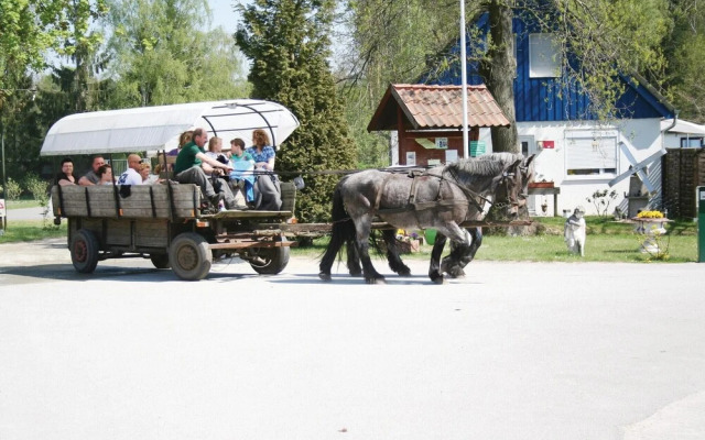 Amazing Home in Faßberg/heidesee With 1 Bedrooms