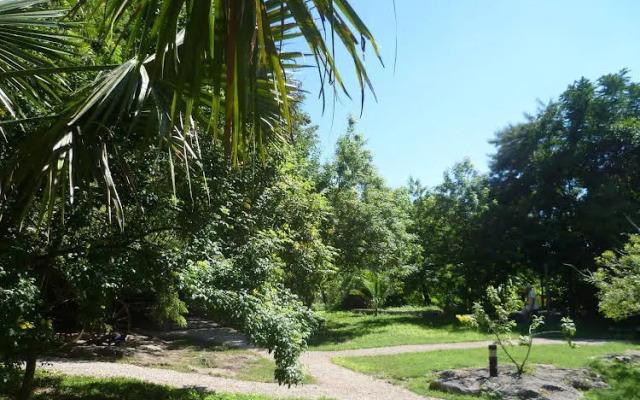 Hacienda Santo Domingo