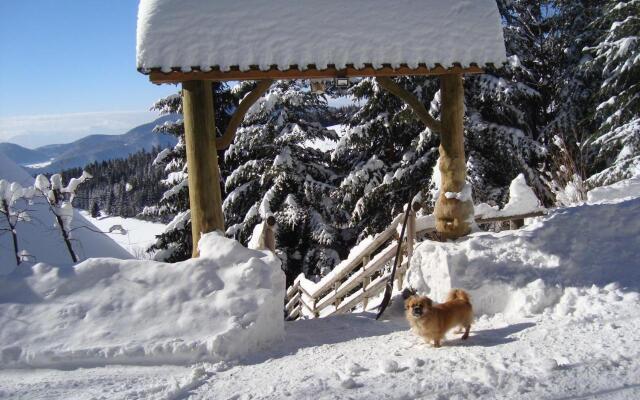 Charming Chalet Rogla