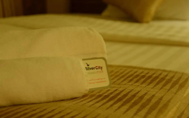 Silver City Apartments