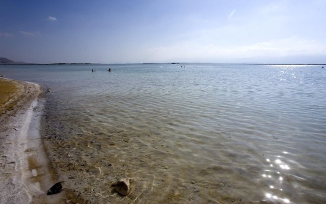 Vert Dead Sea
