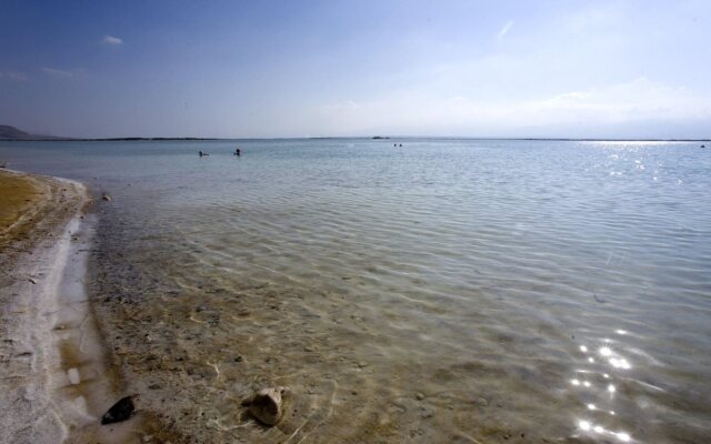 Vert Dead Sea