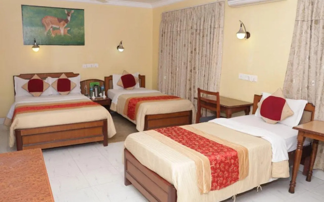 Tiger Wildlife Camp