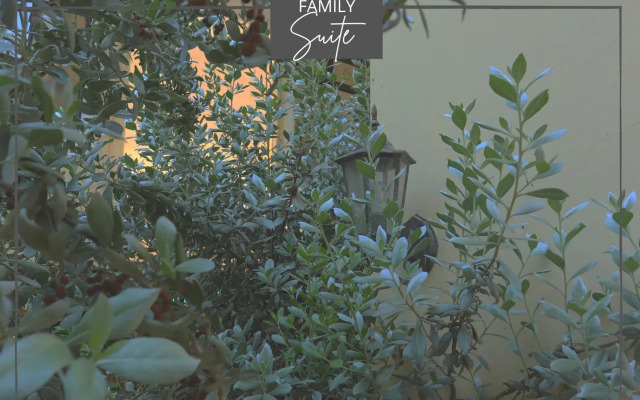 The Palms Resort & Bar