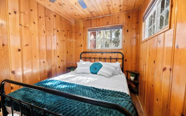 Blue Skies- Modern Cabin