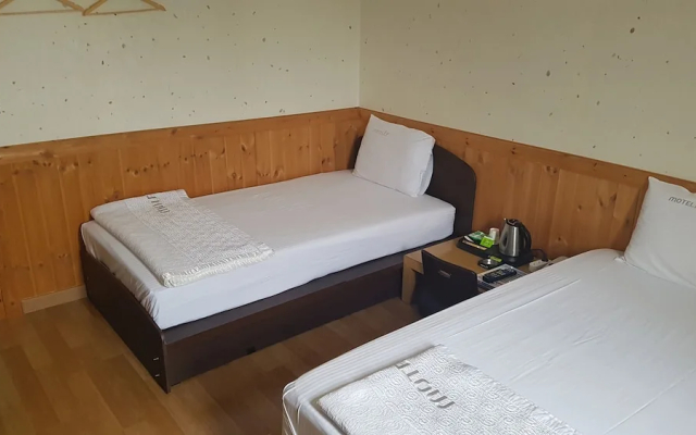 Twelve Motel