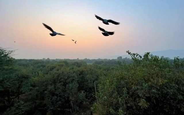Joy Bagh Resort
