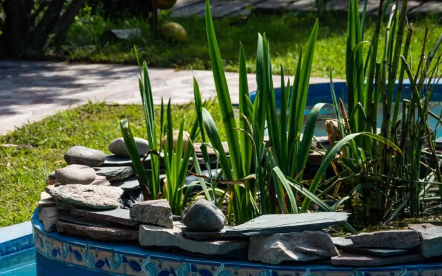 Costa Palmera a 295 m de playa