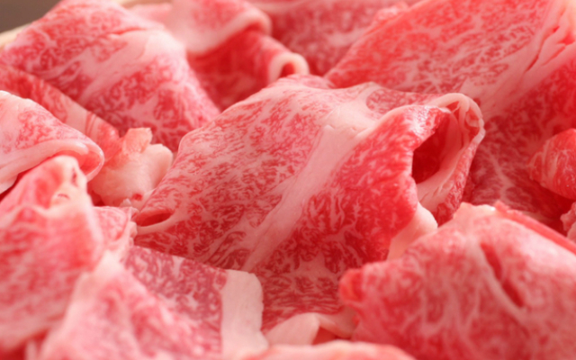 Hida Furukawa Speranza Hotel