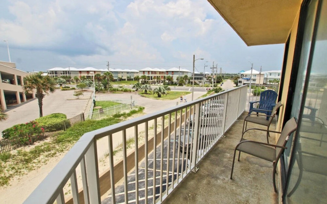 Whaler by Youngs Suncoast