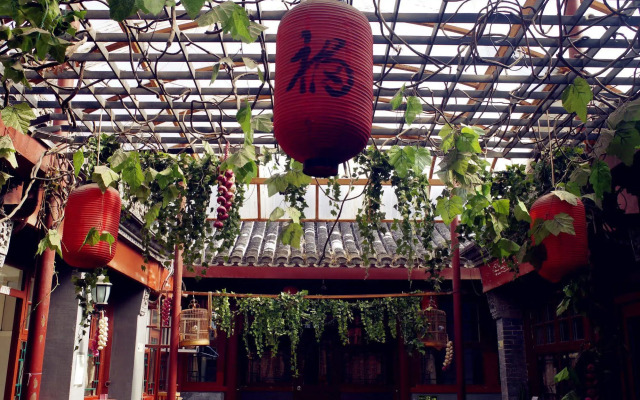 Three Legged Frog Hostel