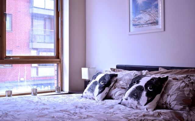 1 Bedroom Flat in Dublin With Balcony