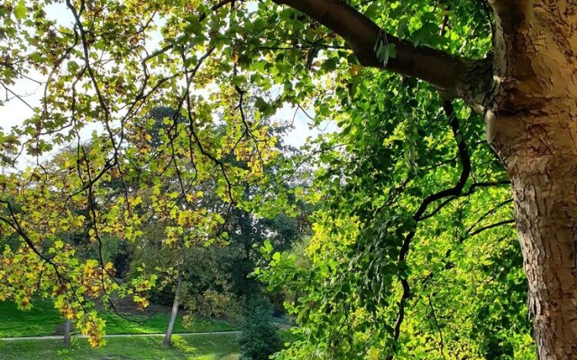 City Park Flair