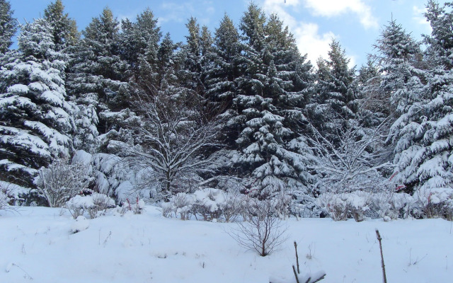 Wohnung bei Willingen fur Wintersport