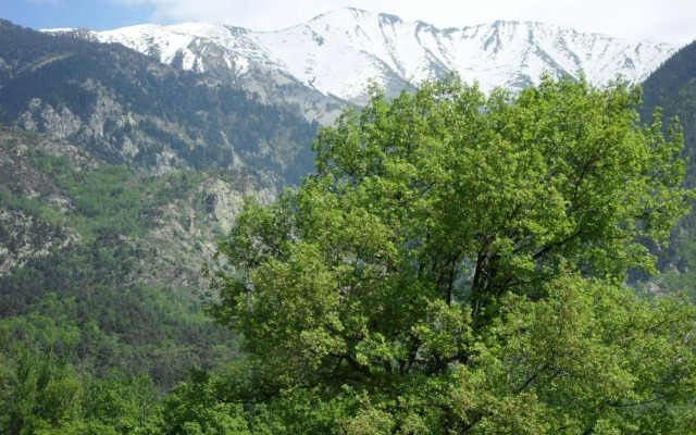 Résidence les Balcons du Canigou