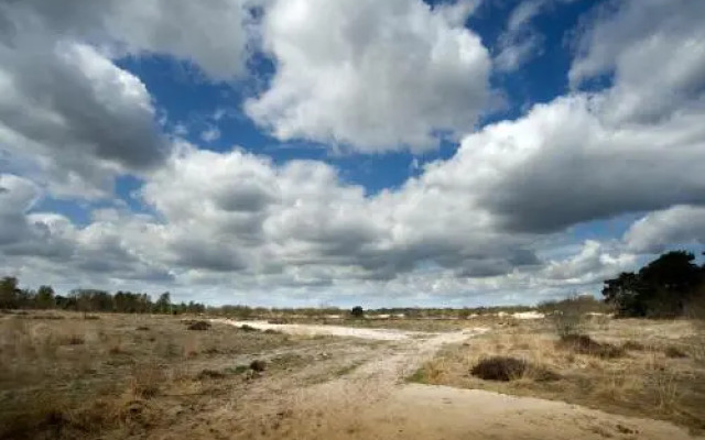 Kampeerboederij De Runsvoort