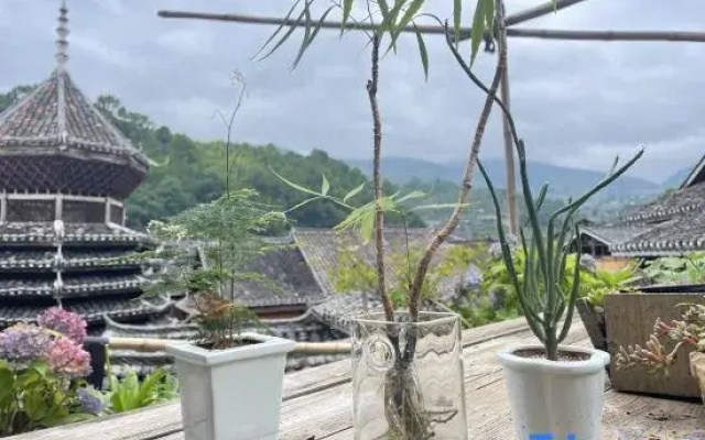 Zhaoxing Dong Village Cloud Residence Homestay