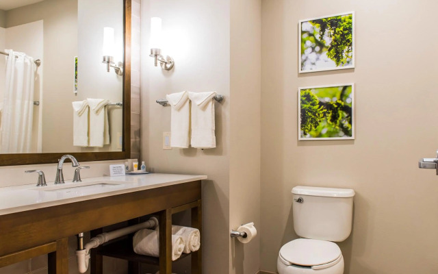 Comfort Inn & Suites Valdosta I-75