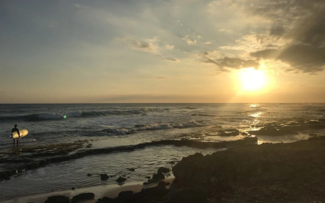 Villa Coconut - Hostel