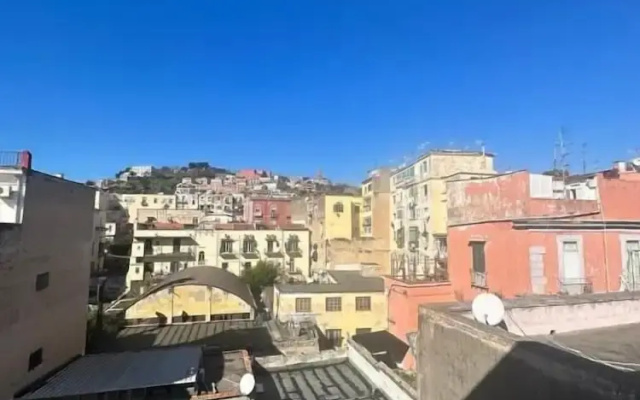 Napolitudine