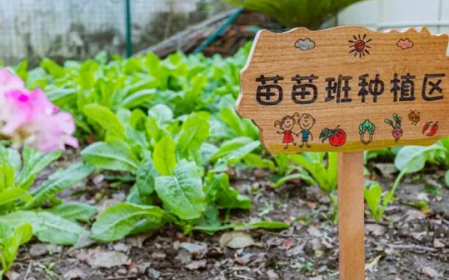 Shanghai Yushe College Leisure Resort Homestay