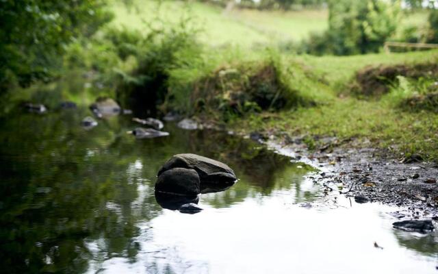 Little River Glamping