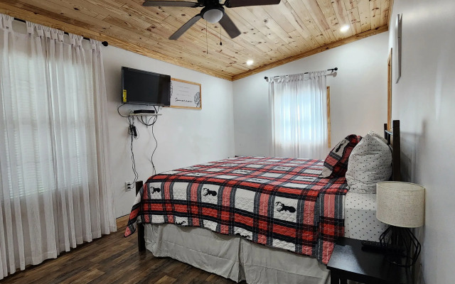 Modern Style Peaceful Tranquility Pet Friendly