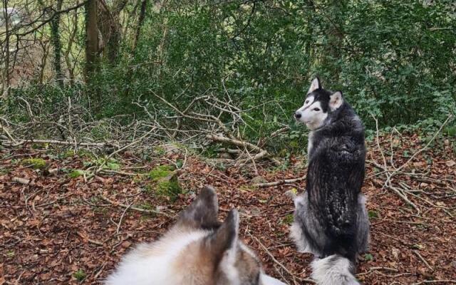 Y Branwen Hotel - Adults Only and Dog Friendly