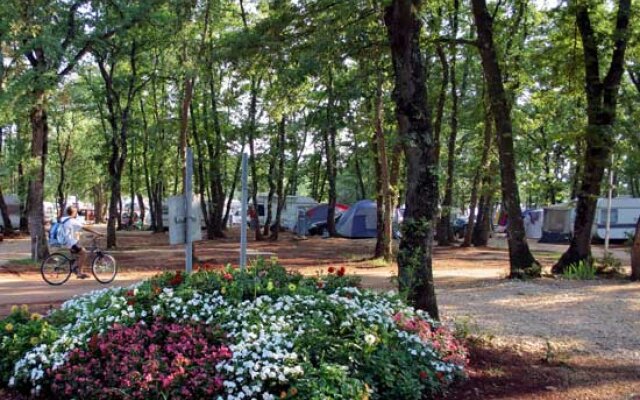 Camping Finida
