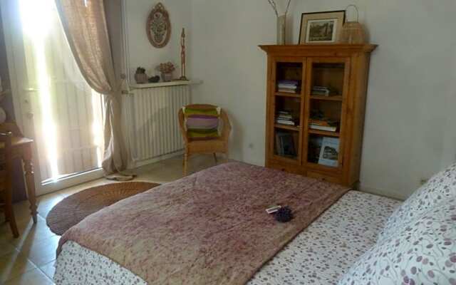 Une Ronce sous le Figuier