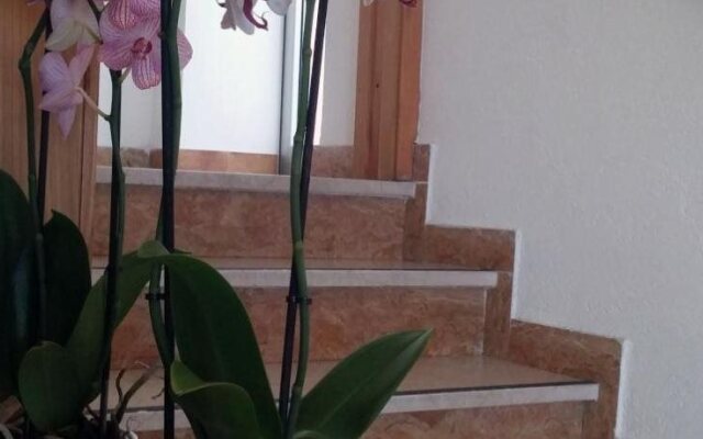 Hotel Rosalba