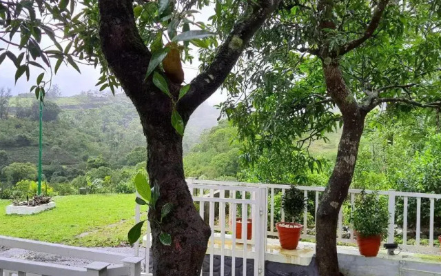 Willow House Vagamon