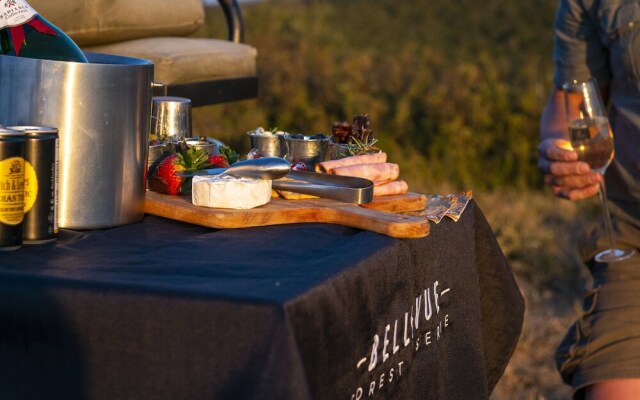 Stargazer Camp - Bellevue Forest Reserve
