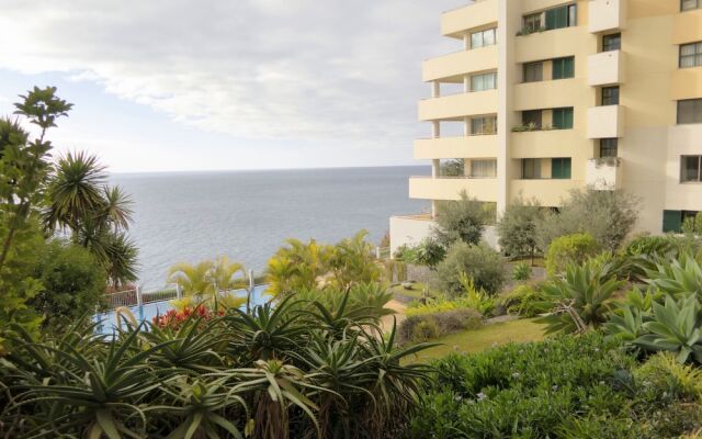 Superior Rentals in Madeira - Lido